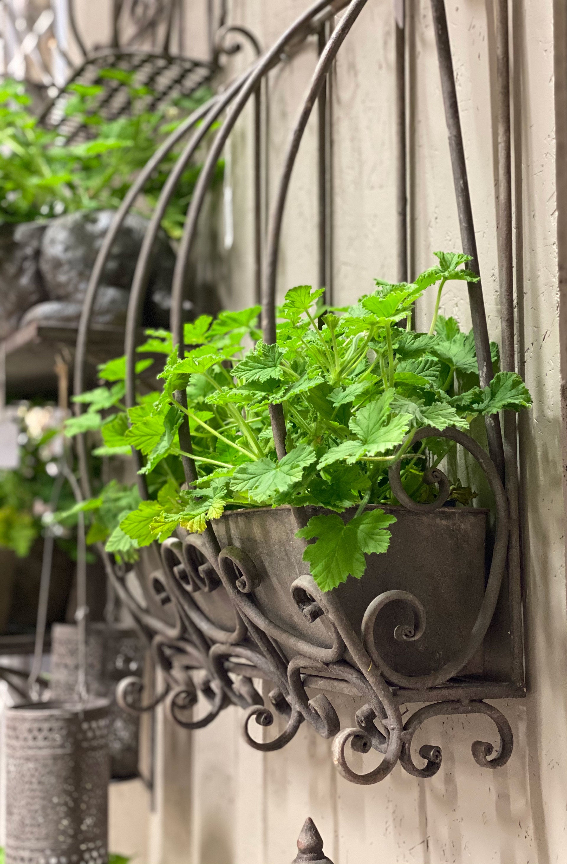 Blomlåda Fleur Metall 2st