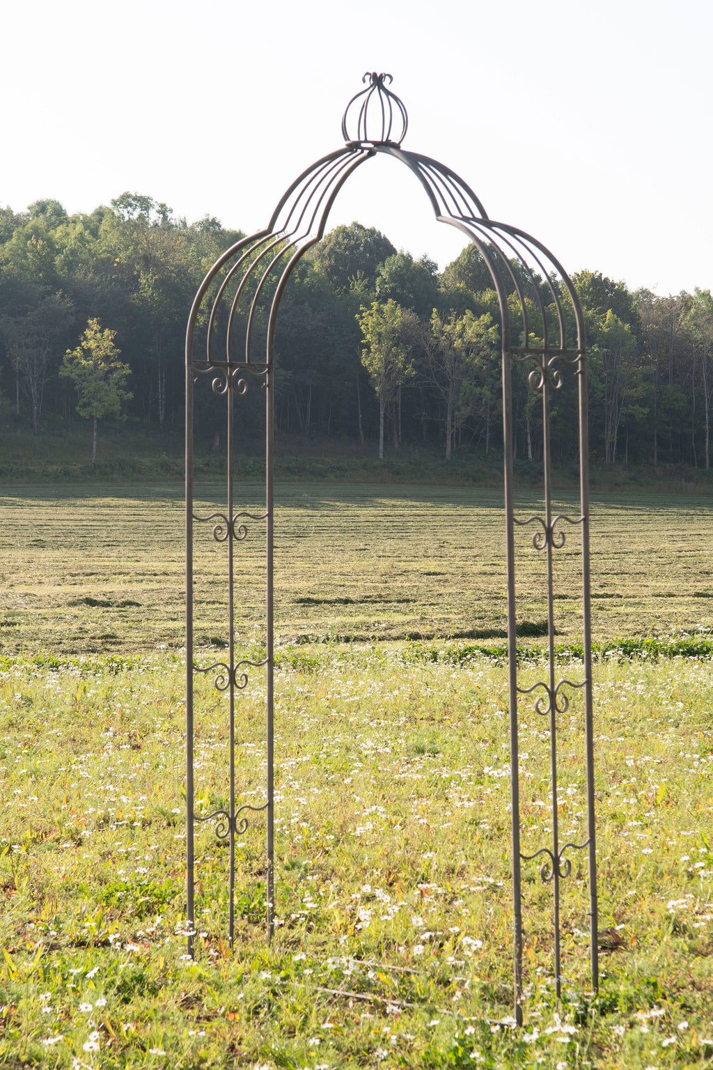 Rosenbåge Krona Metall