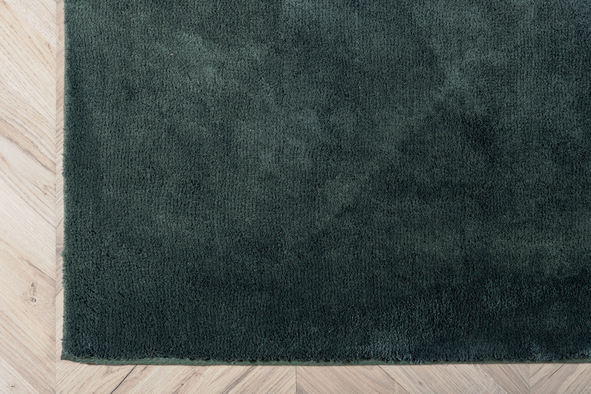 Undra Rektangulära Mattor 350 x 250 Grön