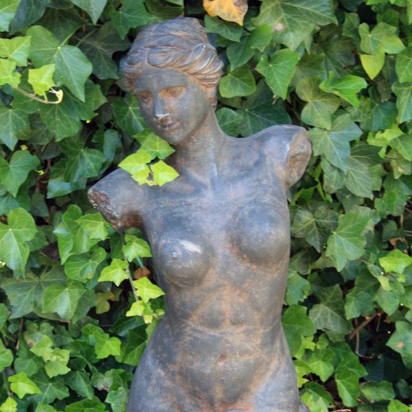 Torso kvinna