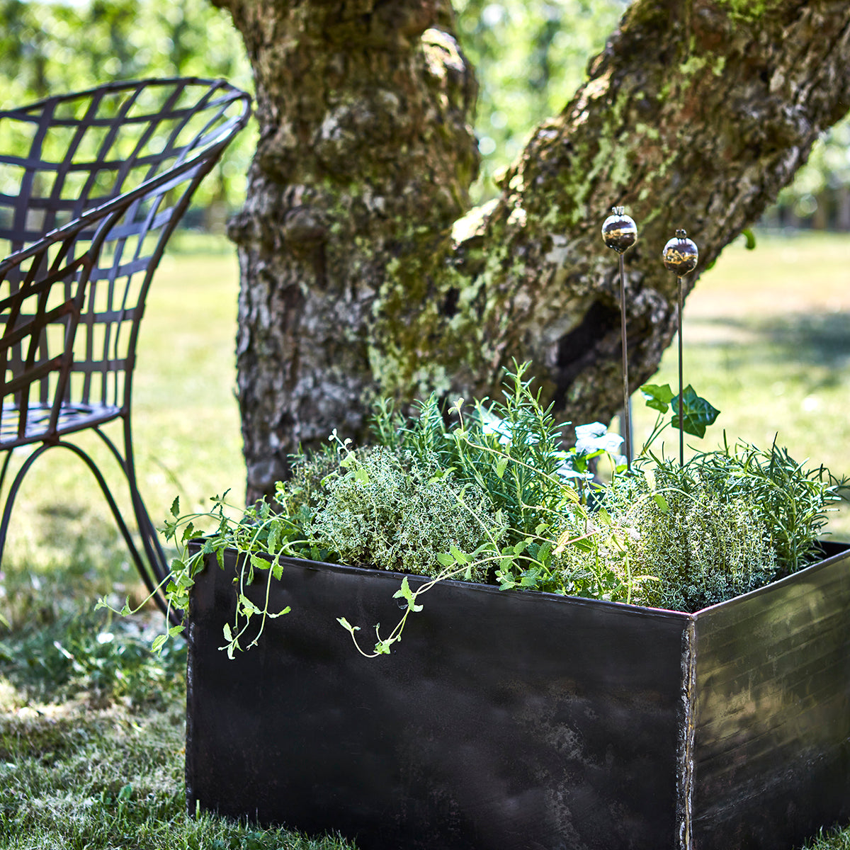 ROBUST Kruka, set om 4, Svart