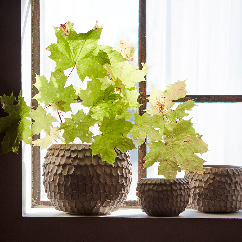 FUDGE Kruka XL, Nougatbrun