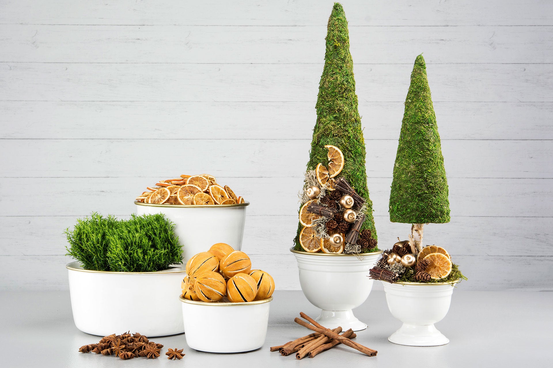 Apelsinskivor Torkade