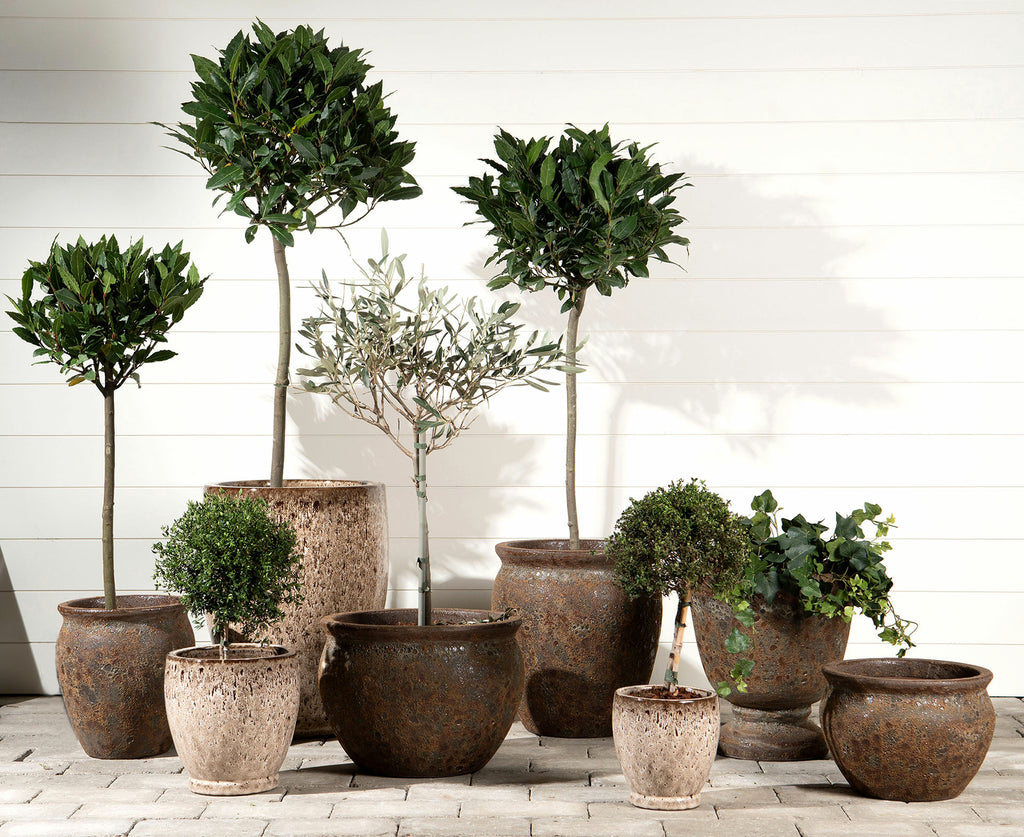 Kruka Estrid Morän Hög