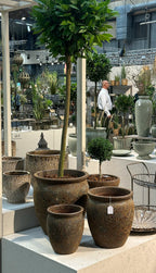 Kruka Estrid Morän Hög