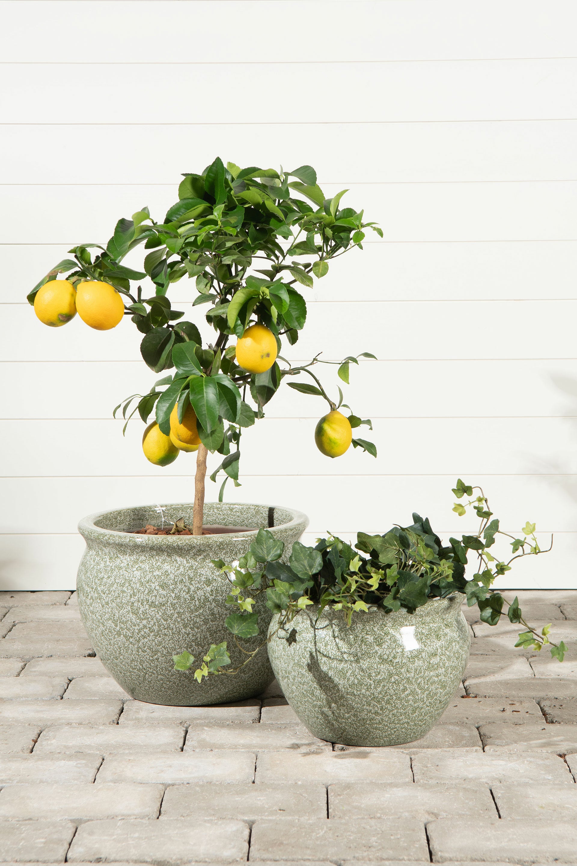 Kruka Estrid Grönska Låg