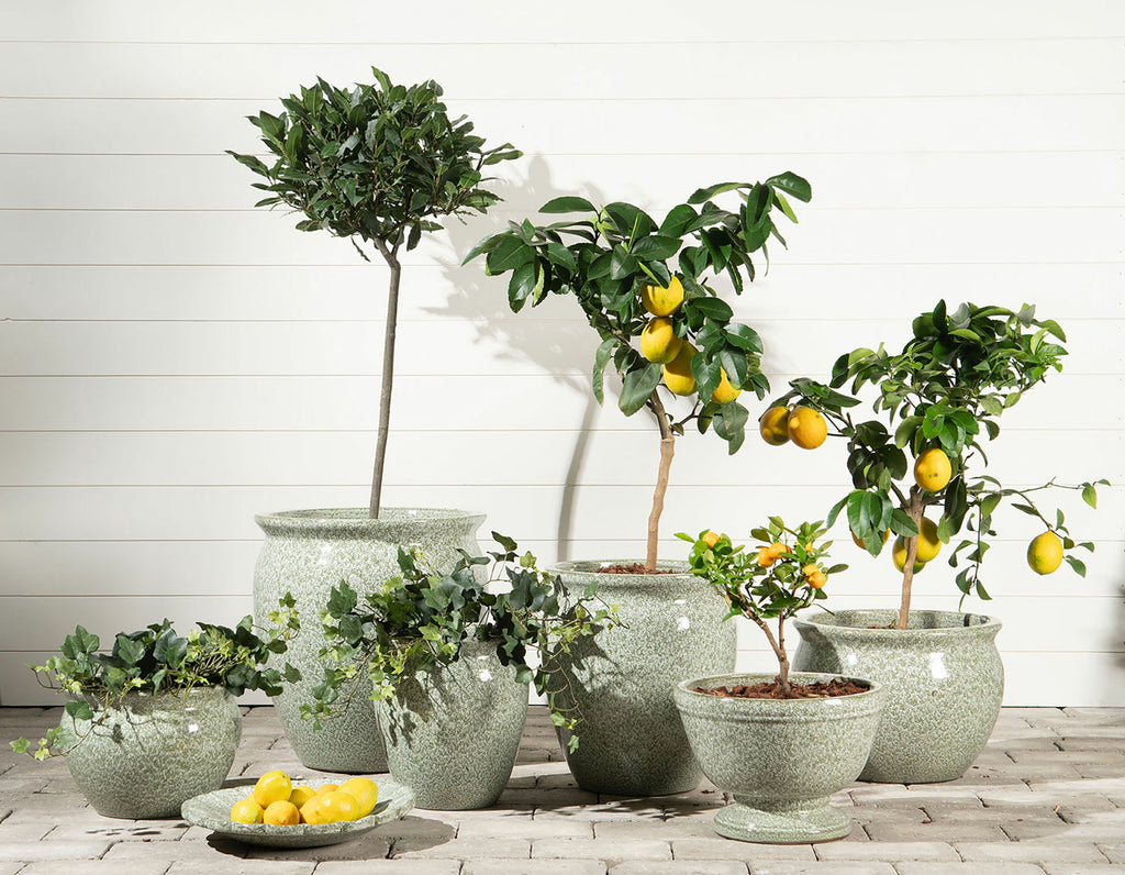 Kruka Estrid Grönska Låg