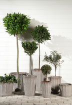 Kruka Hilma Dagg Låg