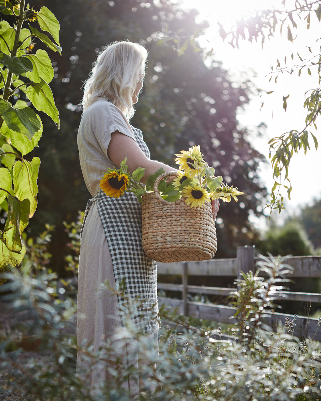 COLLECT Korg, set om 2, Natur