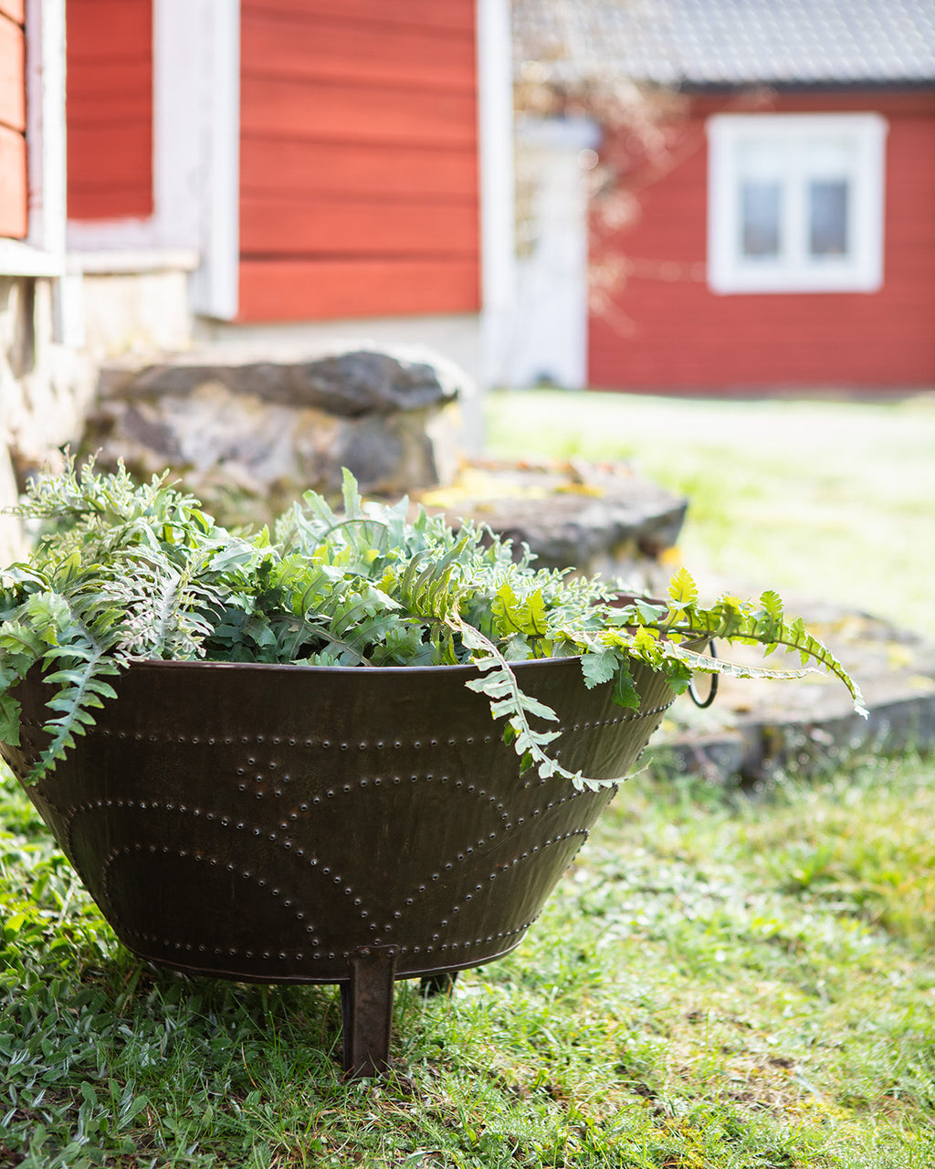 TREASURE Kruka, Rost