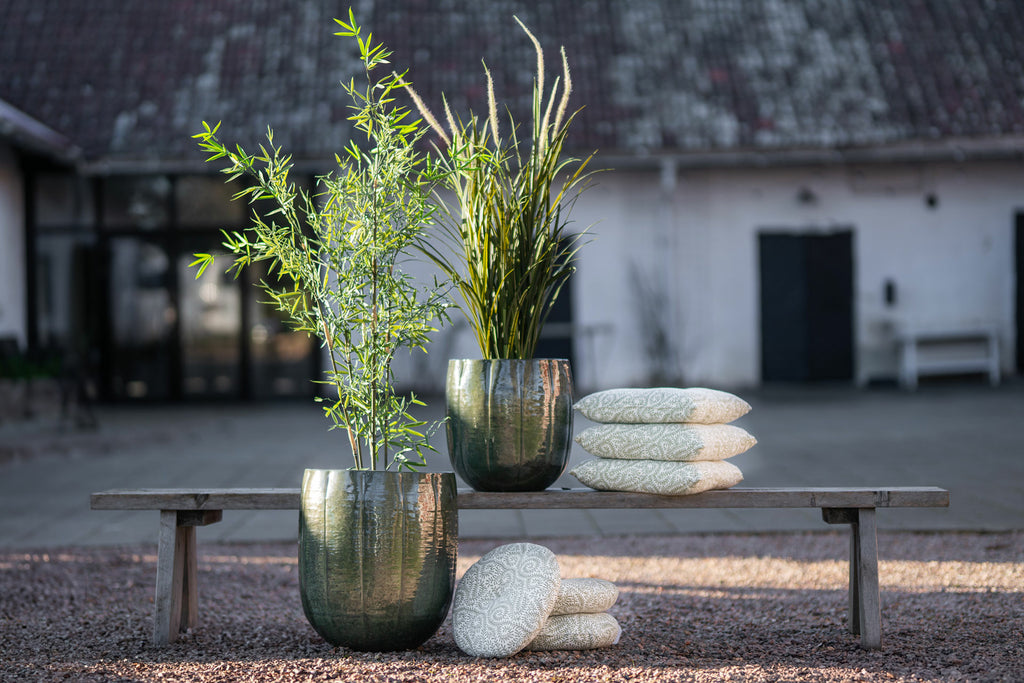 Kruka Lou Kale Med Plugg