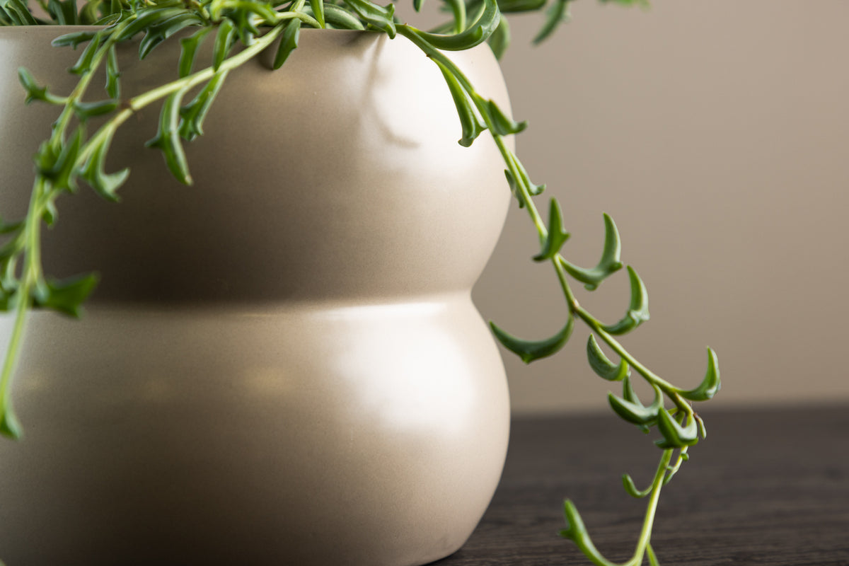 Dapne Krukor Ø16 Matt beige