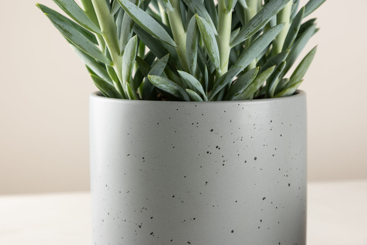 Sane Krukor Ø18 Mörkgrå