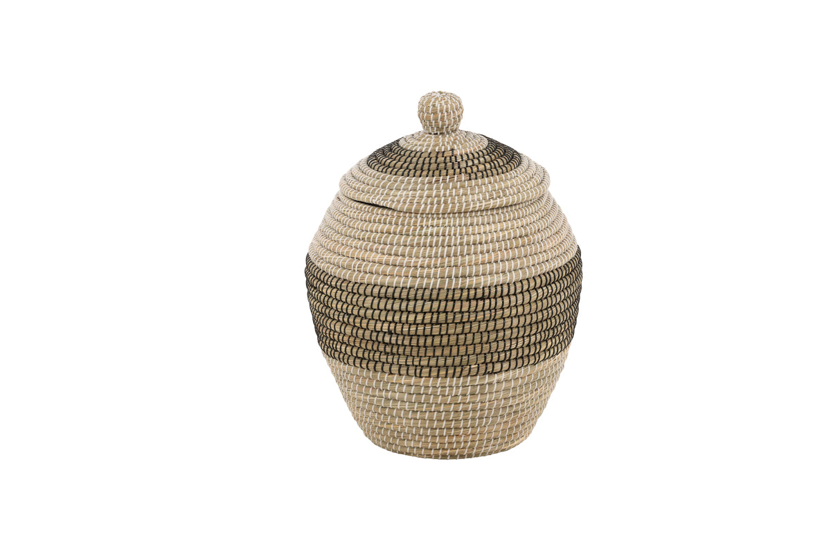 Chennai Korgar ⌀33