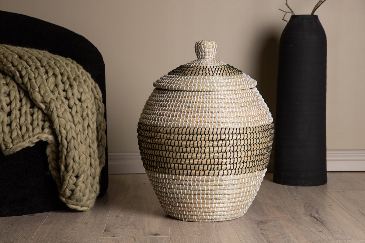 Chennai Korgar ⌀33