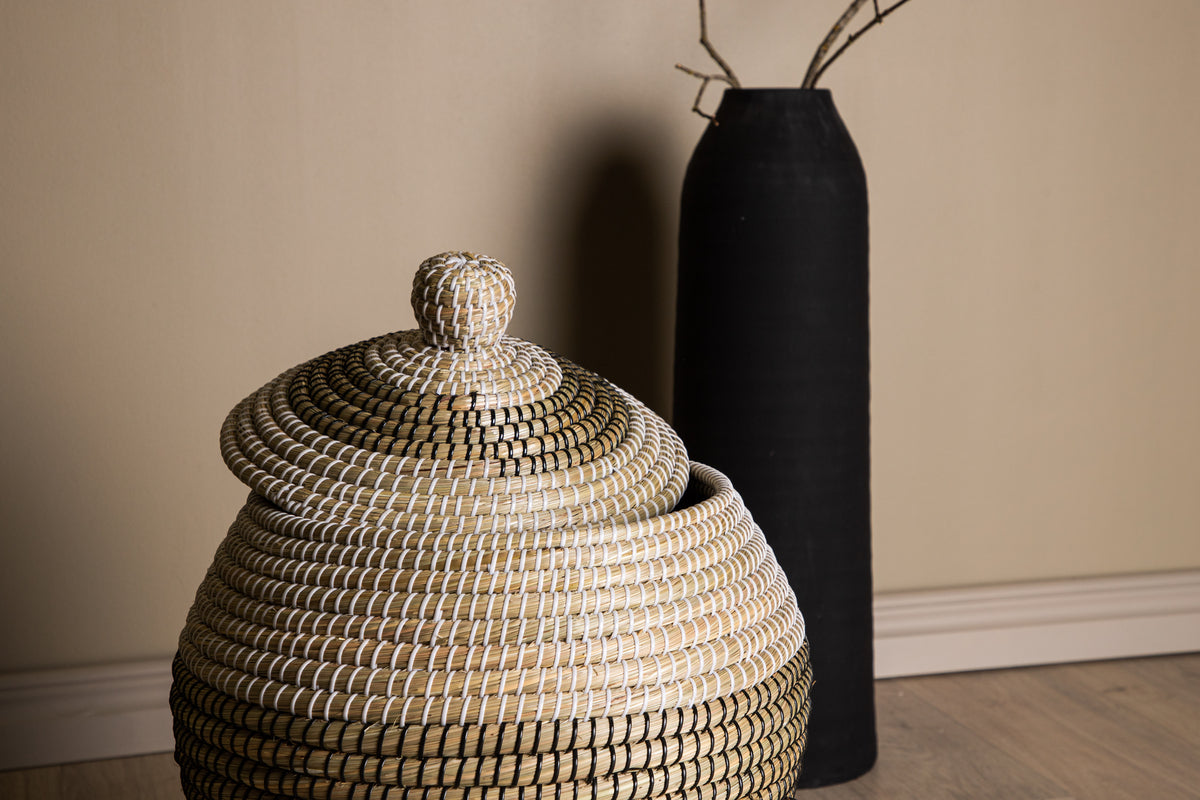 Chennai Korgar ⌀33