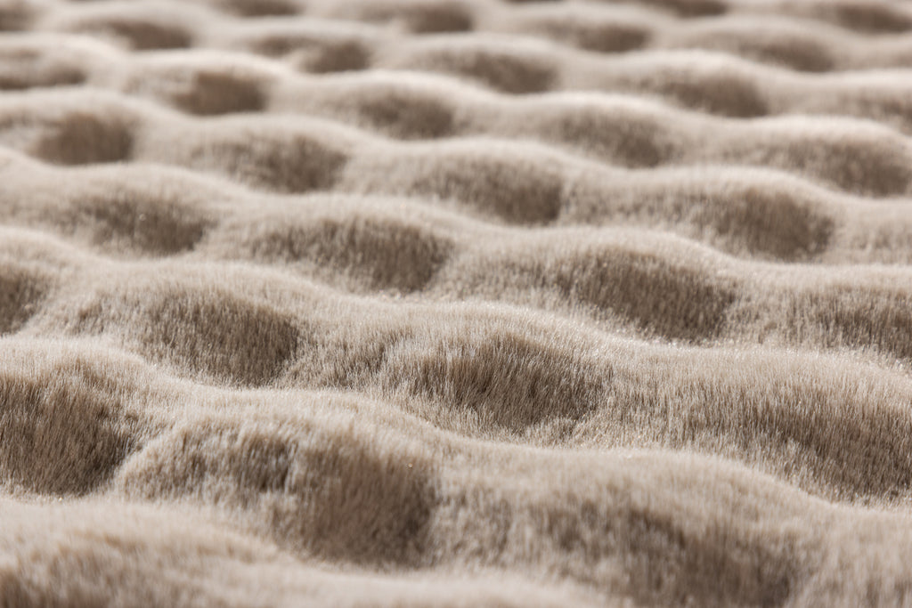 Novis Rektangulära Mattor 290 x 200 Beige