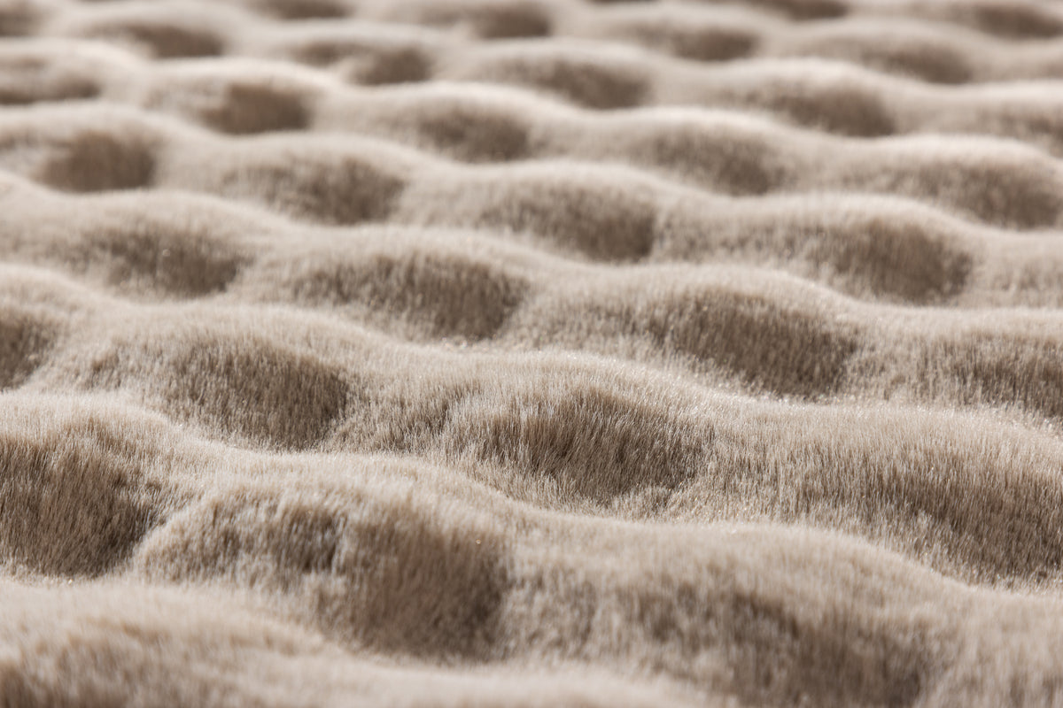 Novis Rektangulära Mattor 290 x 200 Beige