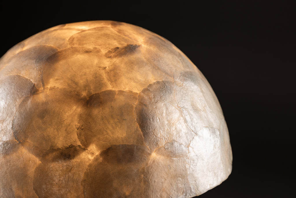 Lindön Bordslampor Ljusgrå