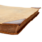 GLOBETROTTER Notering/fotobok, Brun