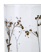 LEAF Ljushållare, Klar/brun