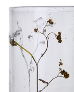 LEAF Ljushållare, Klar/brun