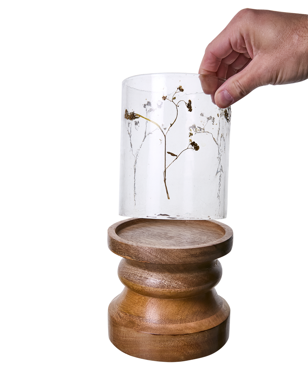 LEAF Ljushållare, Klar/brun