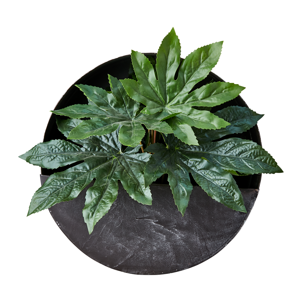 OLIVER Väggkruka, Mörkgrå 2st