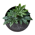 OLIVER Väggkruka, Mörkgrå 2st