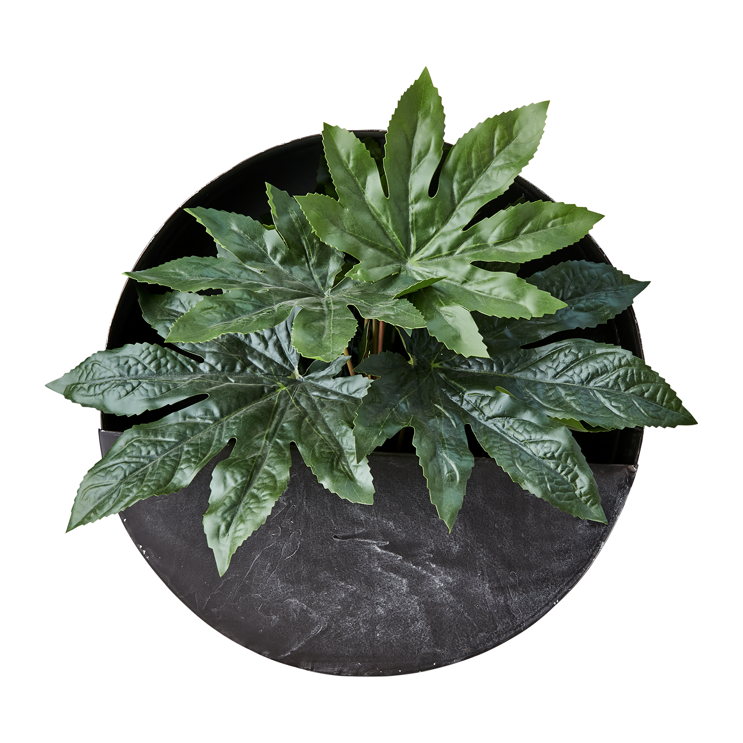 OLIVER Väggkruka, Mörkgrå 2st