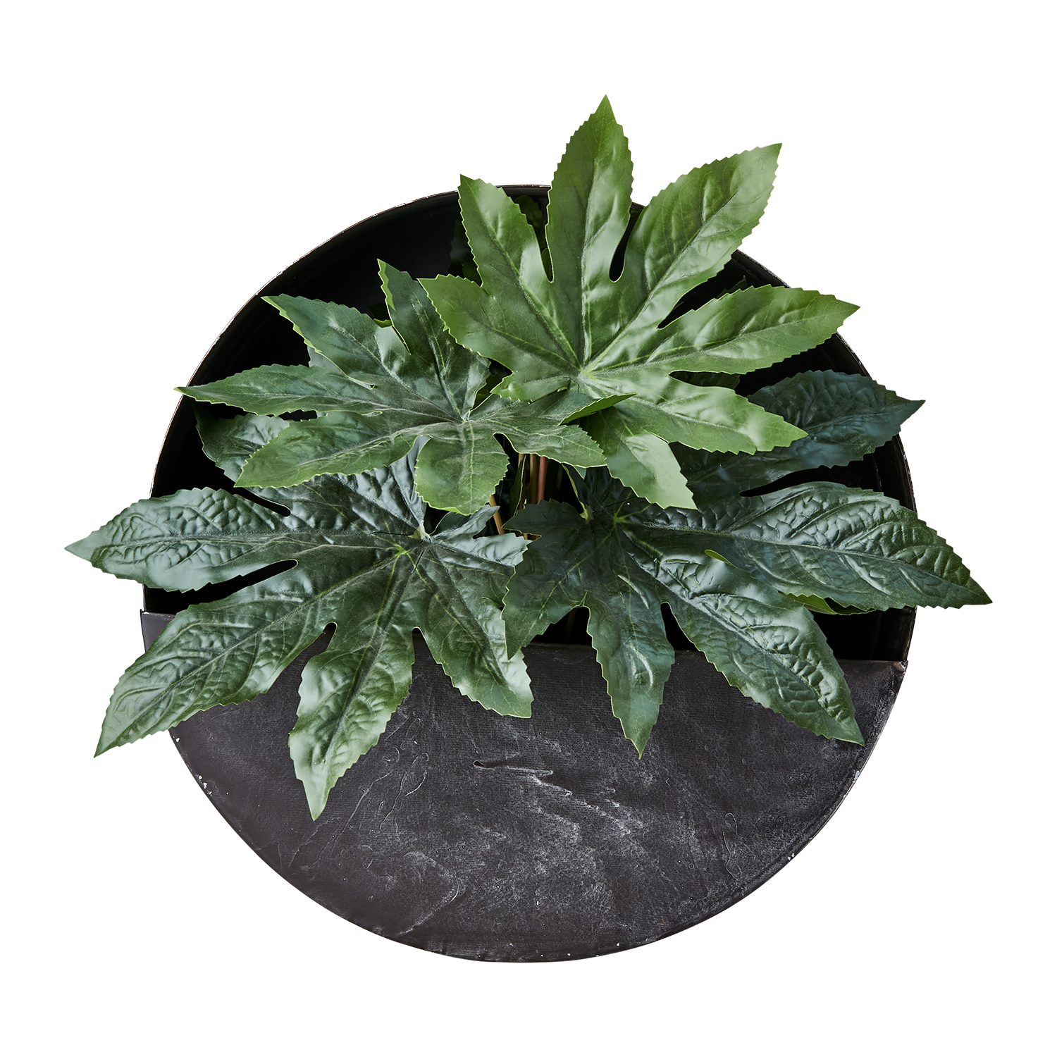 OLIVER Väggkruka, Mörkgrå 2st