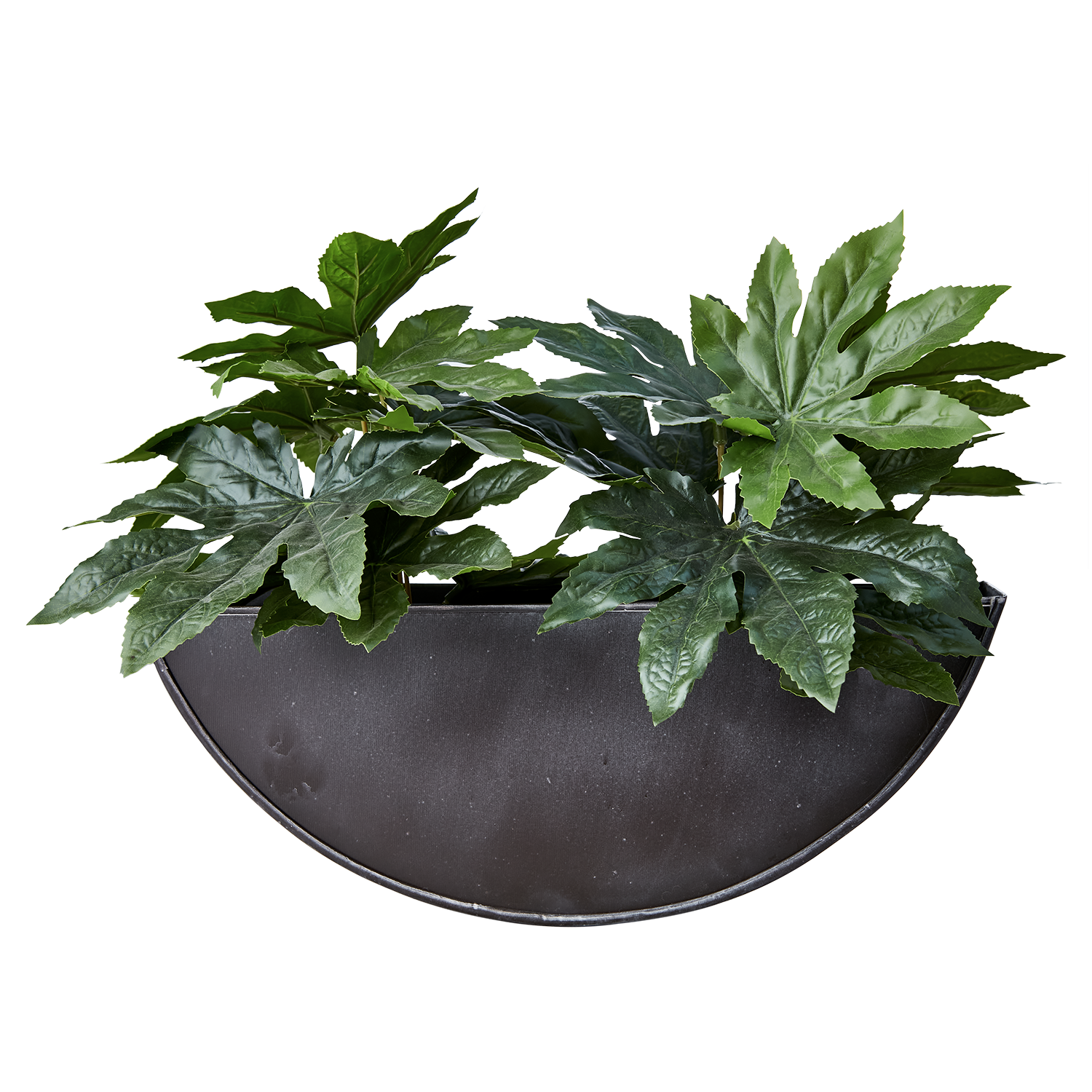 OLIVER Väggkruka, Mörkgrå 2st