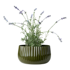 IGGY Kruka M, Grön 2st