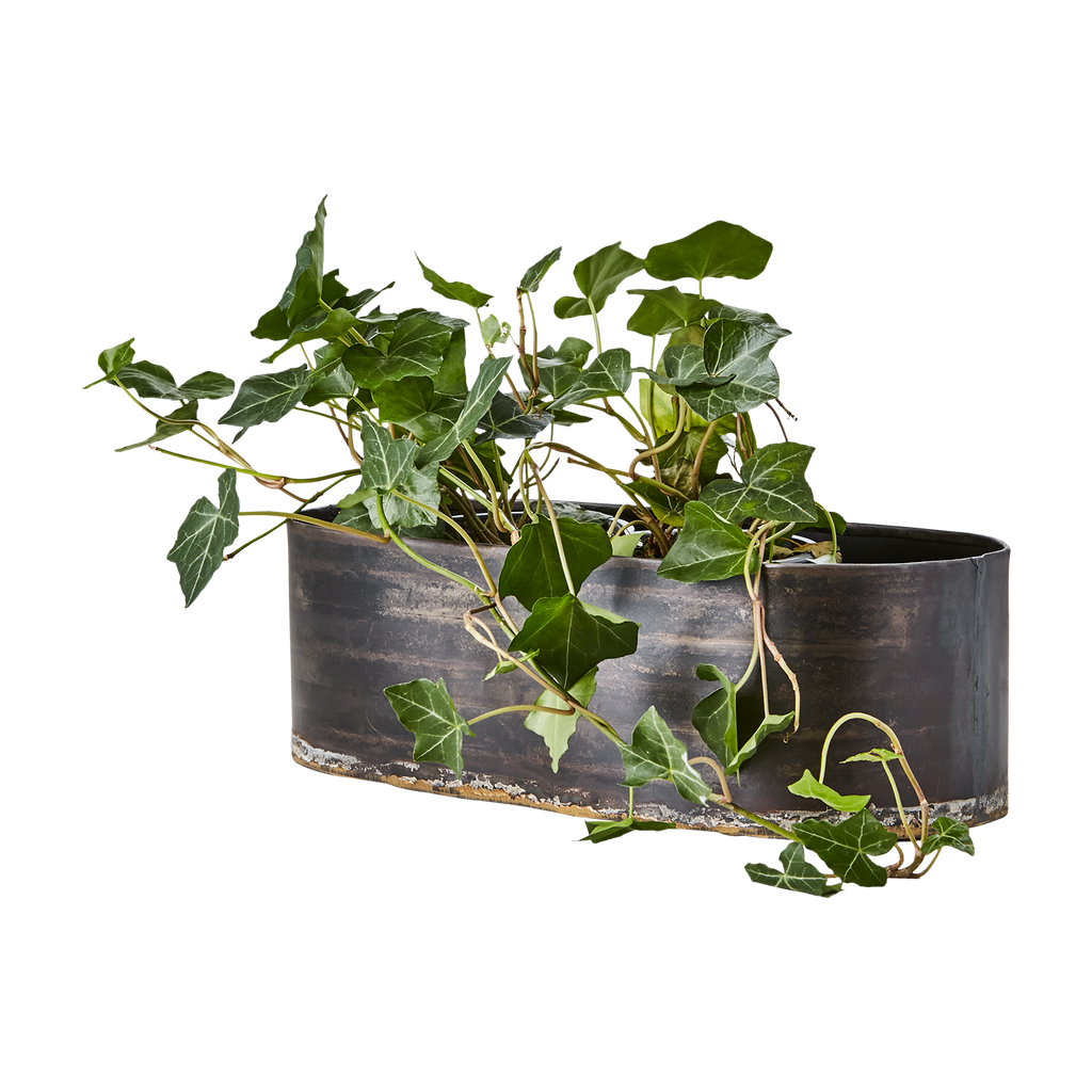 ROBUST Kruka, set om 3, Svart