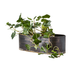 ROBUST Kruka, set om 3, Svart