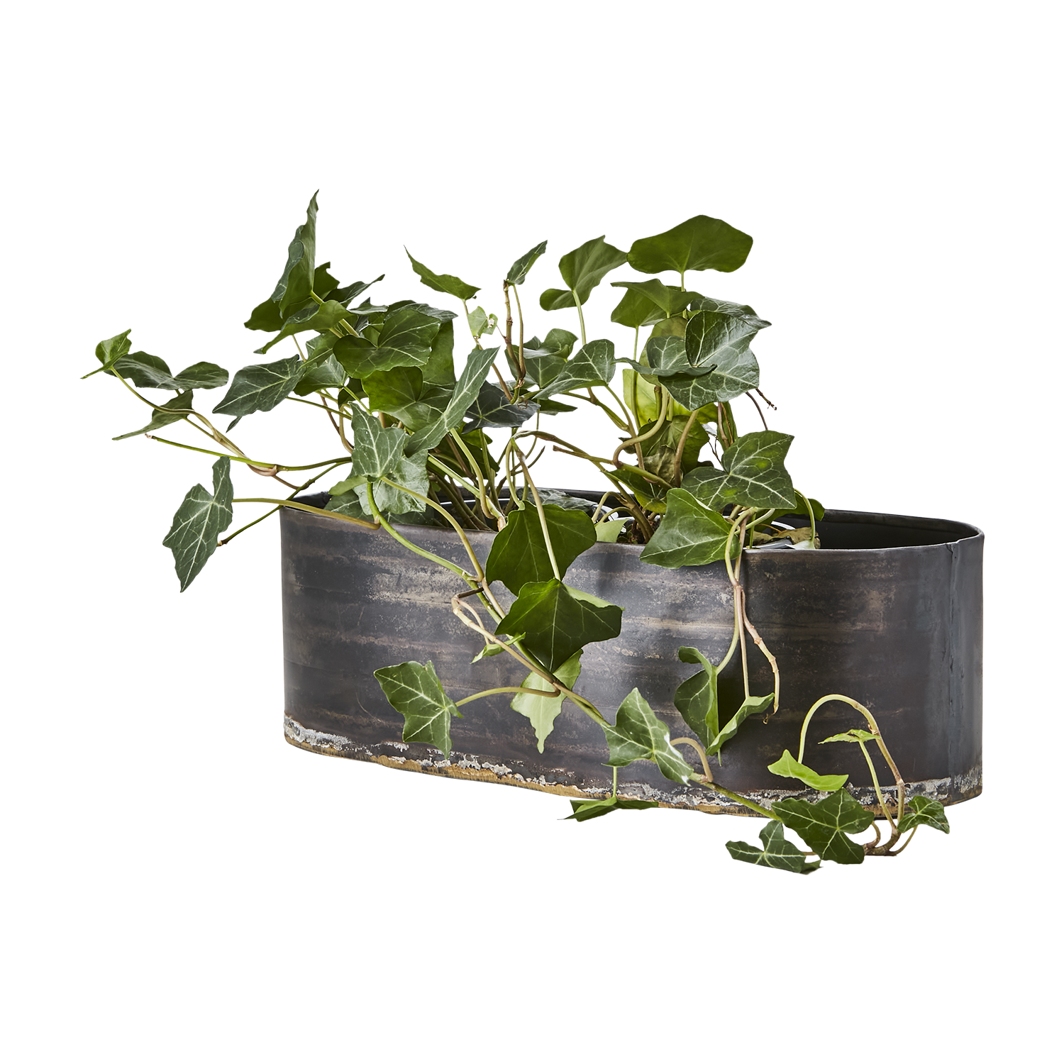 ROBUST Kruka, set om 3, Svart