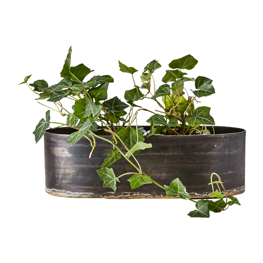 ROBUST Kruka, set om 3, Svart