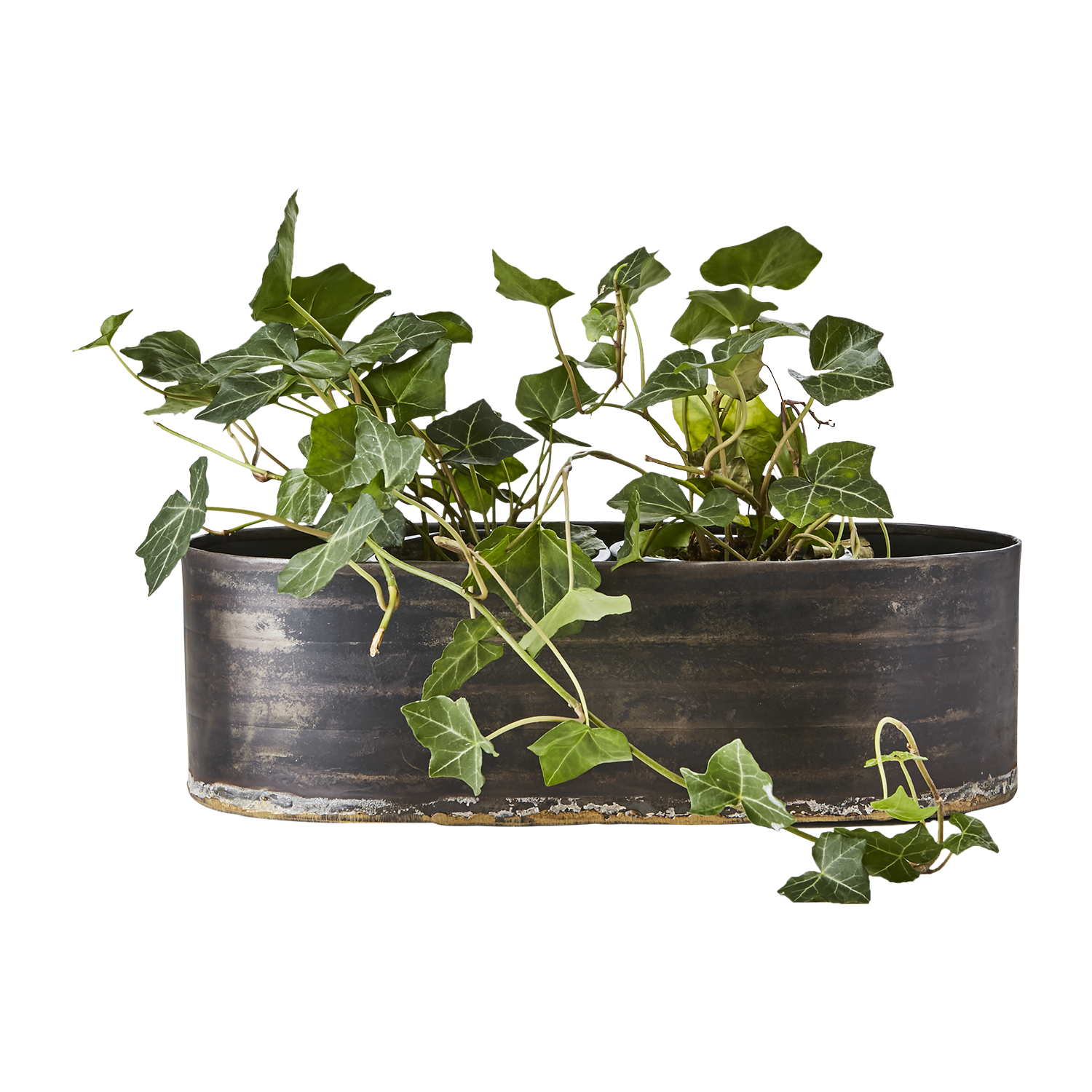 ROBUST Kruka, set om 3, Svart