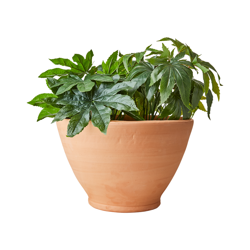 ALBIN Kruka, Terrakotta