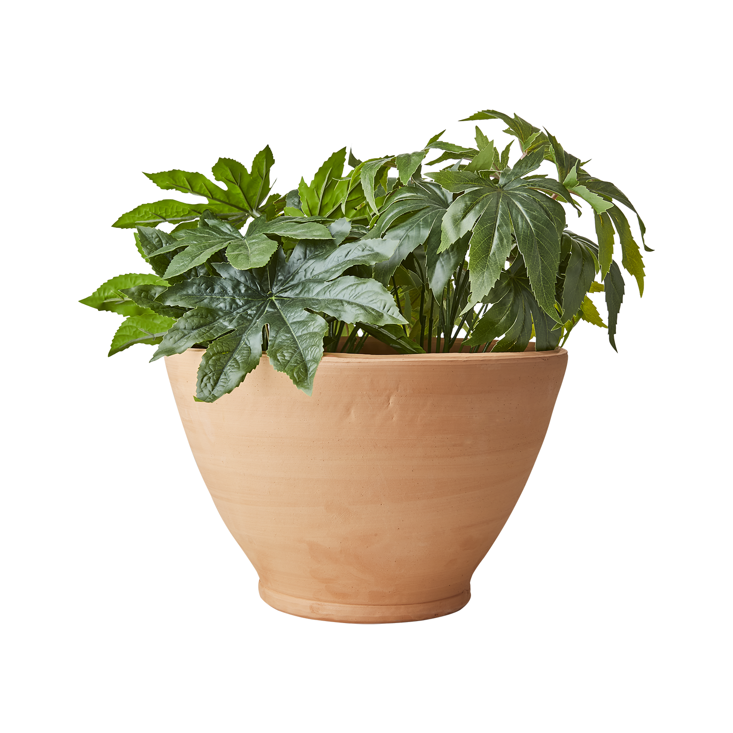 ALBIN Kruka, Terrakotta