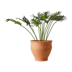 ALBIN Kruka M, Terrakotta 2st