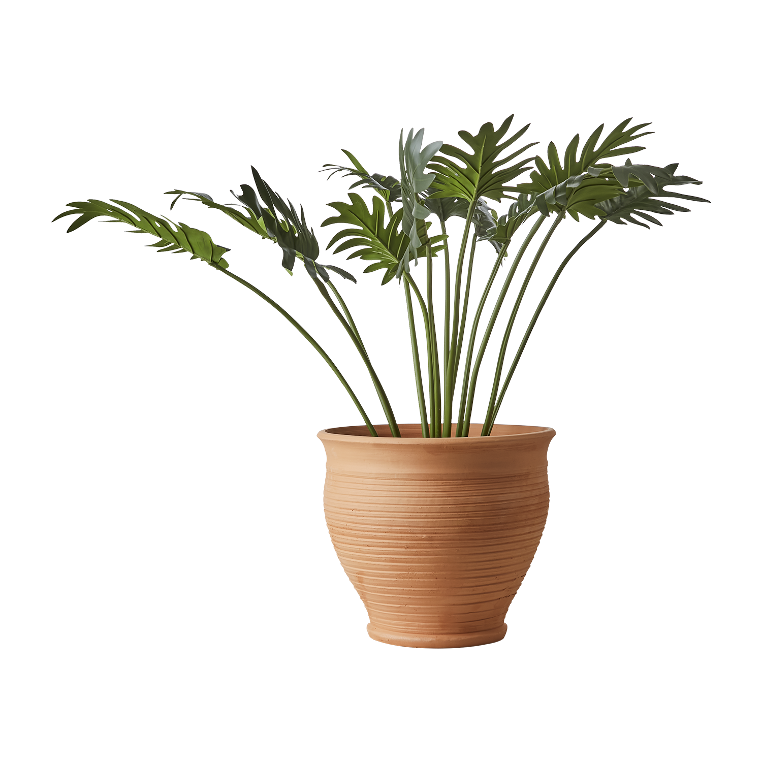 ALBIN Kruka M, Terrakotta 2st