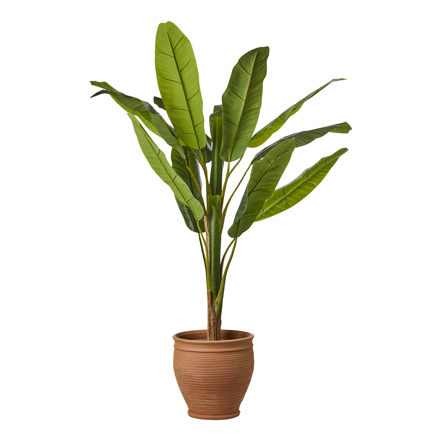 ALBIN Kruka L, Terrakotta