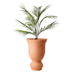 ALBIN Kruka, Terrakotta