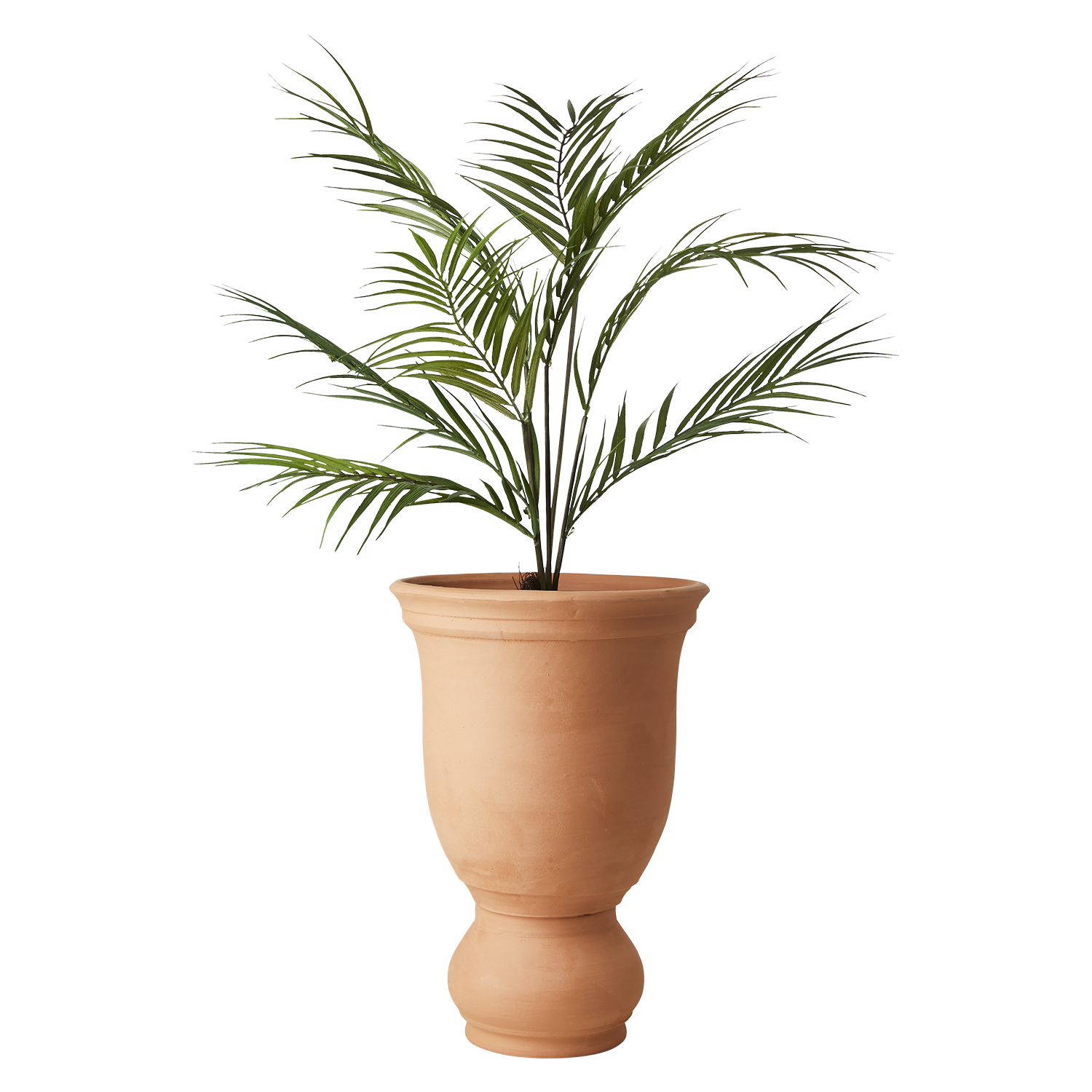 ALBIN Kruka, Terrakotta