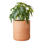 ALBIN Kruka M, Terrakotta 2st