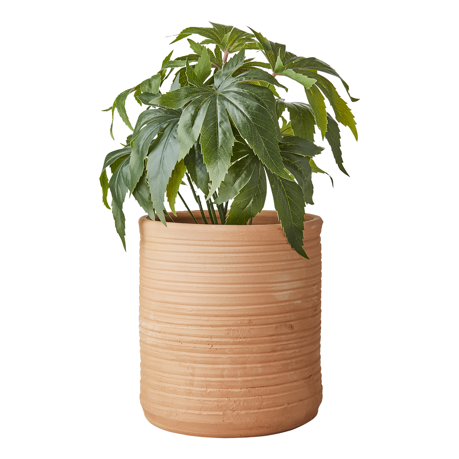 ALBIN Kruka M, Terrakotta 2st