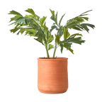 ALBIN Kruka L, Terrakotta 2st