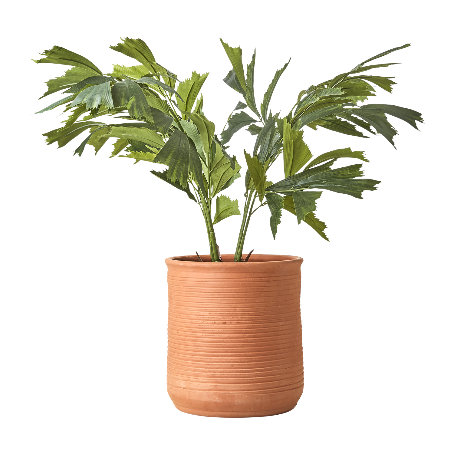 ALBIN Kruka L, Terrakotta 2st