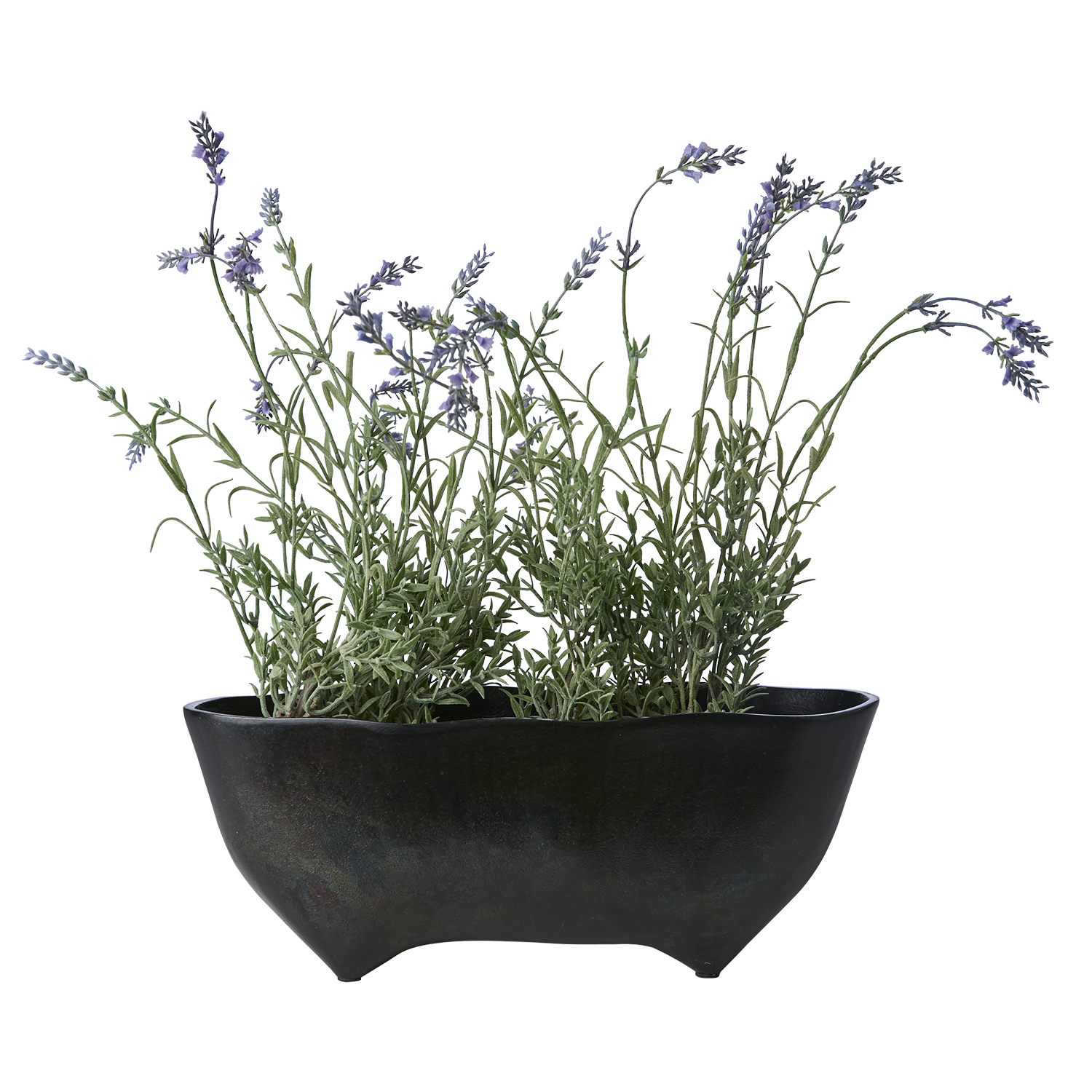 RUBEN Kruka, Mörkbrun